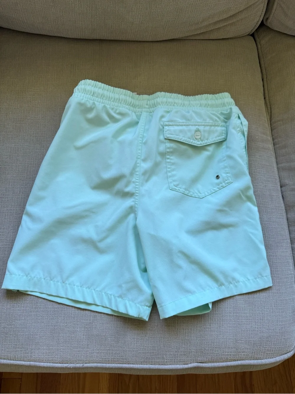 Kids Mint Green Swim Trunks with Playful Dog Graphic